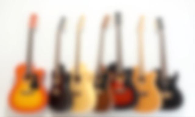 A variety of starter acoustic and electric guitars